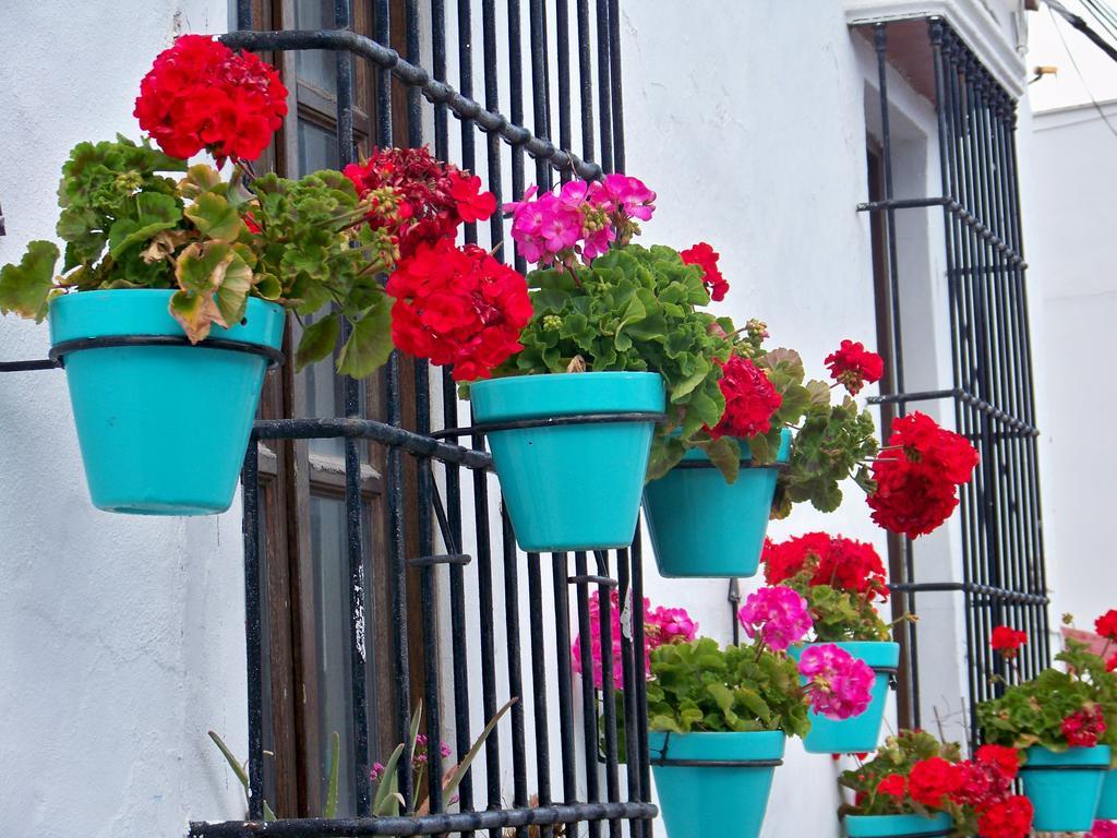 Apartamentos Miguel Angel Estepona Kültér fotó